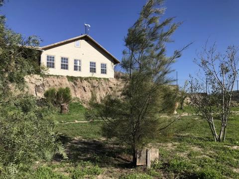 arboles del jardin frente a la casa principal