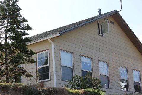 buho espanta pajaros sobre el techo