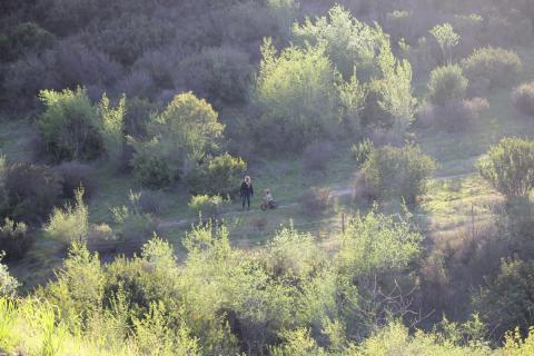 paseo en bicicleta por el monte