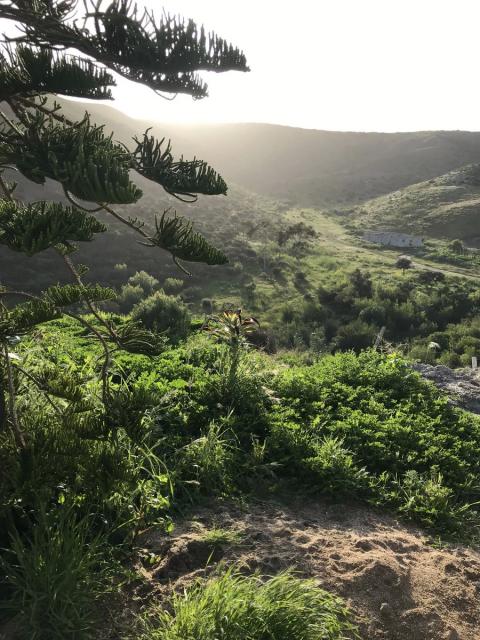 vista desde el patio de frente