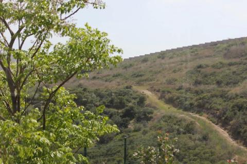 despues de la lluvia llega la calma