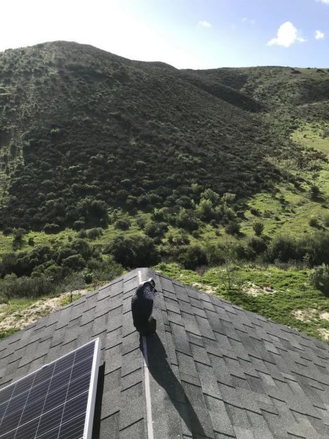 monte frente a la casa vista desde el techo