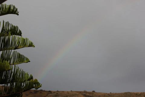 se dibuja un arcoiris en el cielo